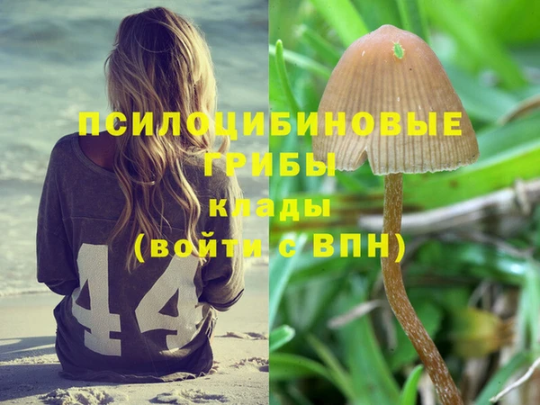 шишки Пестово