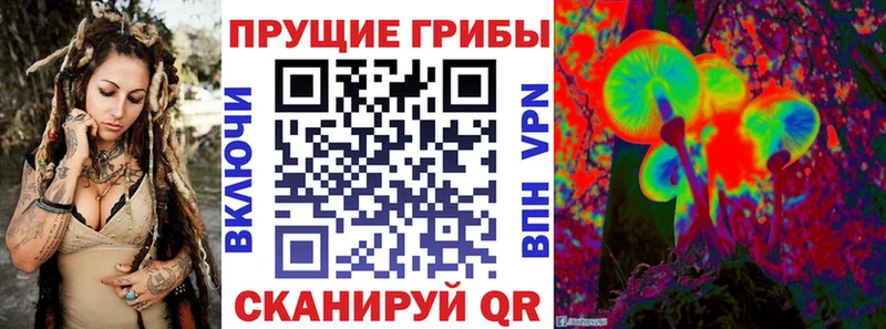 кракен как войти  Сельцо  Псилоцибиновые грибы GOLDEN TEACHER 